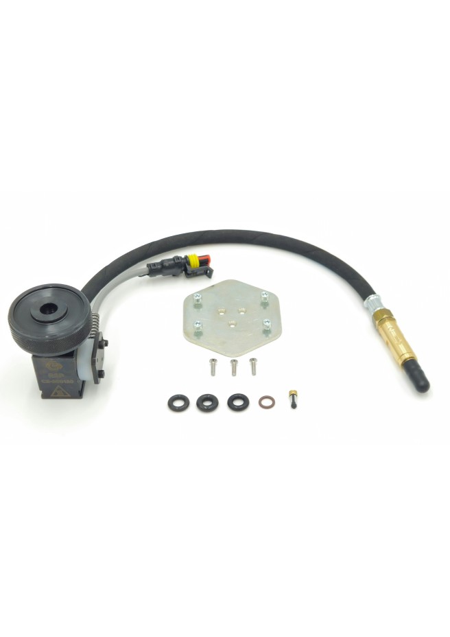RSP (Y25)