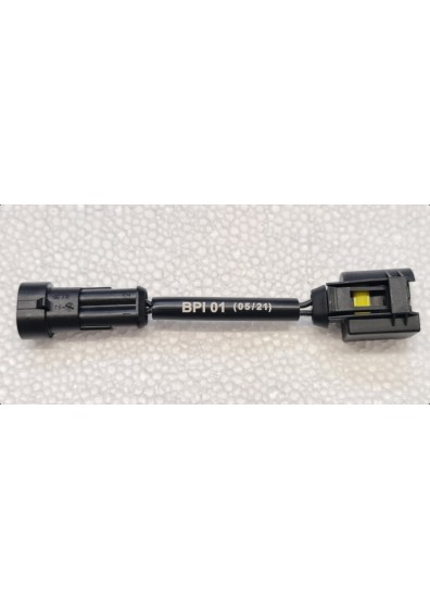 BPI.01