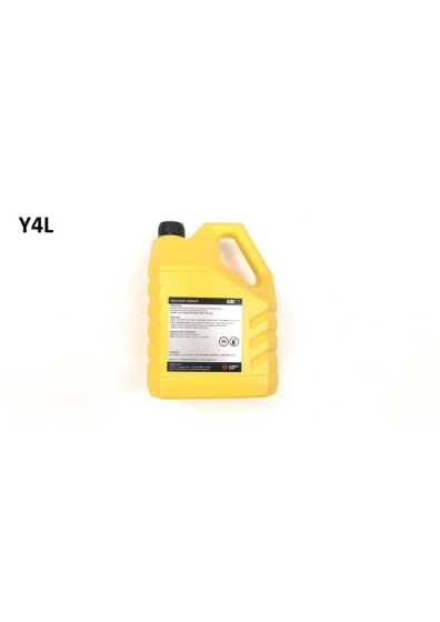 Y4L